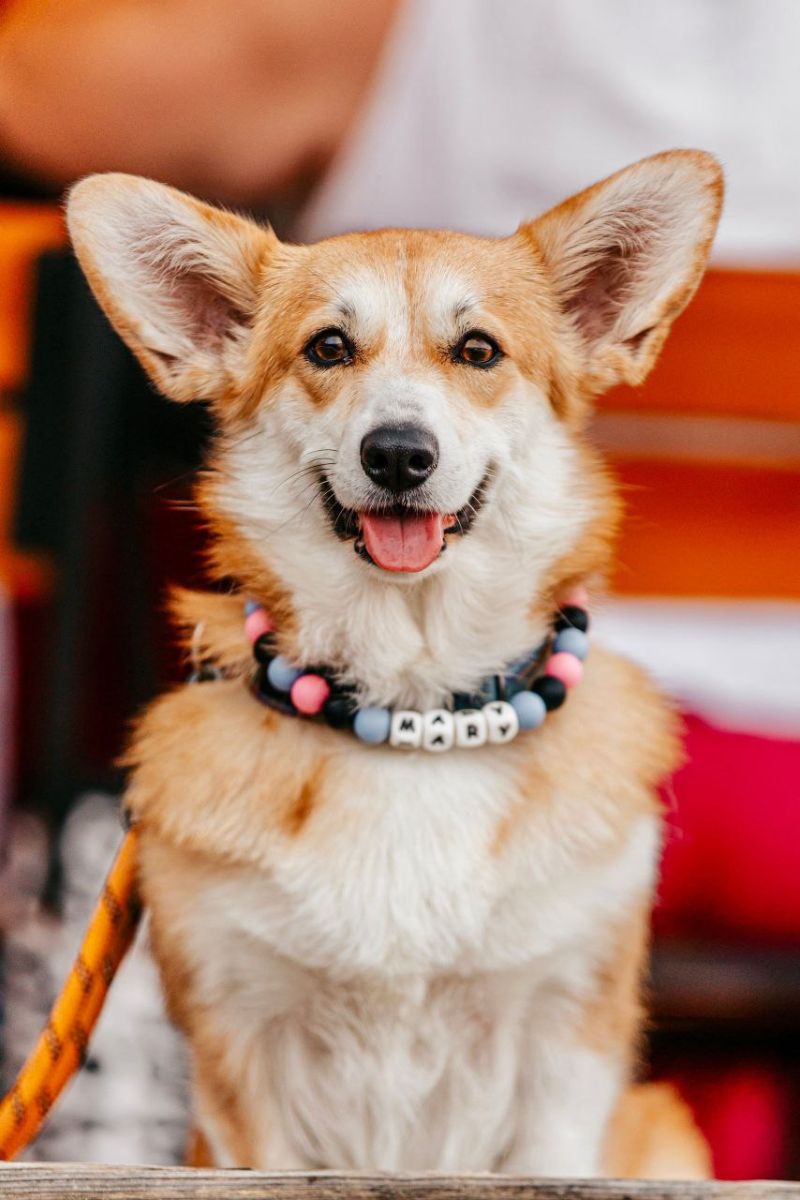 Canestrelli Rozalia Light Dream